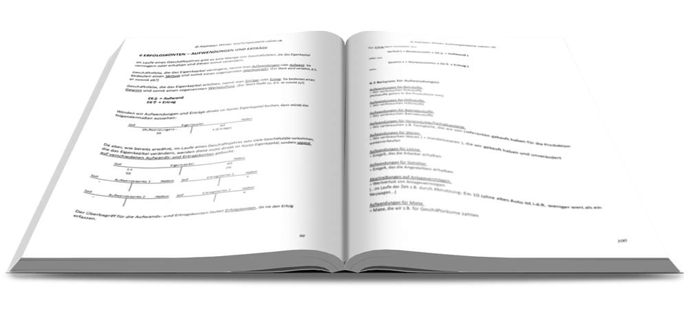 Erfolgskonten - Fit in Buchführung - Basiskenntnisse mit Aufgaben und Lösungen - E-Book